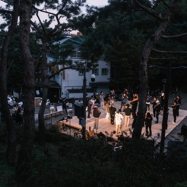 소나무 사이로 내려다본 광장.