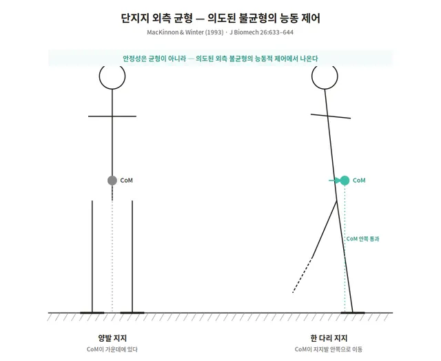 단지지 외측 균형 — MacKinnon & Winter 도해