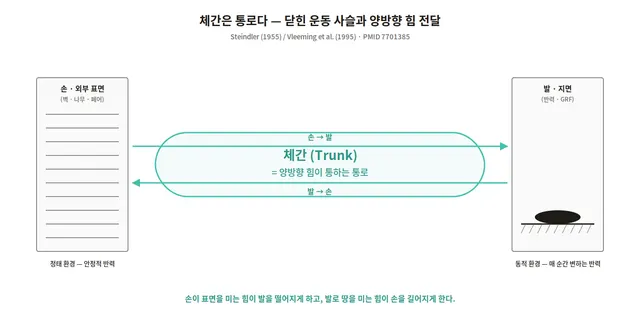 체간은 통로다 — 닫힌 운동 사슬 도해