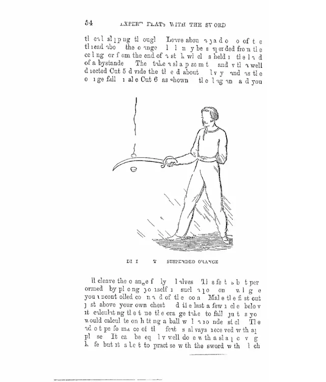 해리슨 1868 도판 — harrison_020_매달린오렌지가르기