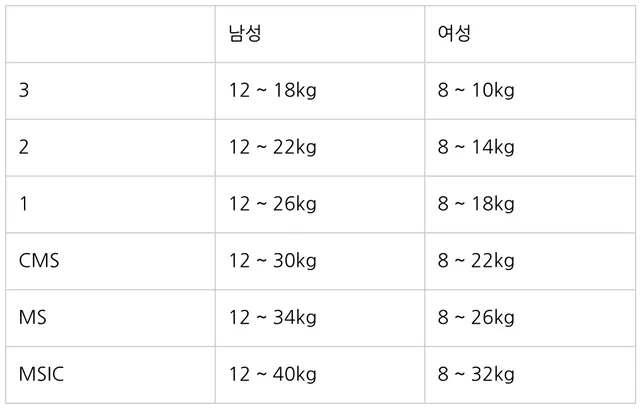 랭크 별 필요한 훈련 중량 범위를 적어놓은 표
