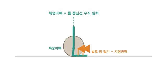 셋업 정렬
